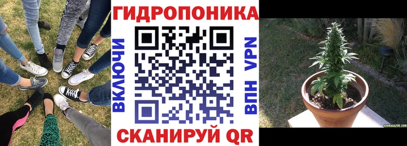 Конопля гибрид  Купить закладки  Барабинск 